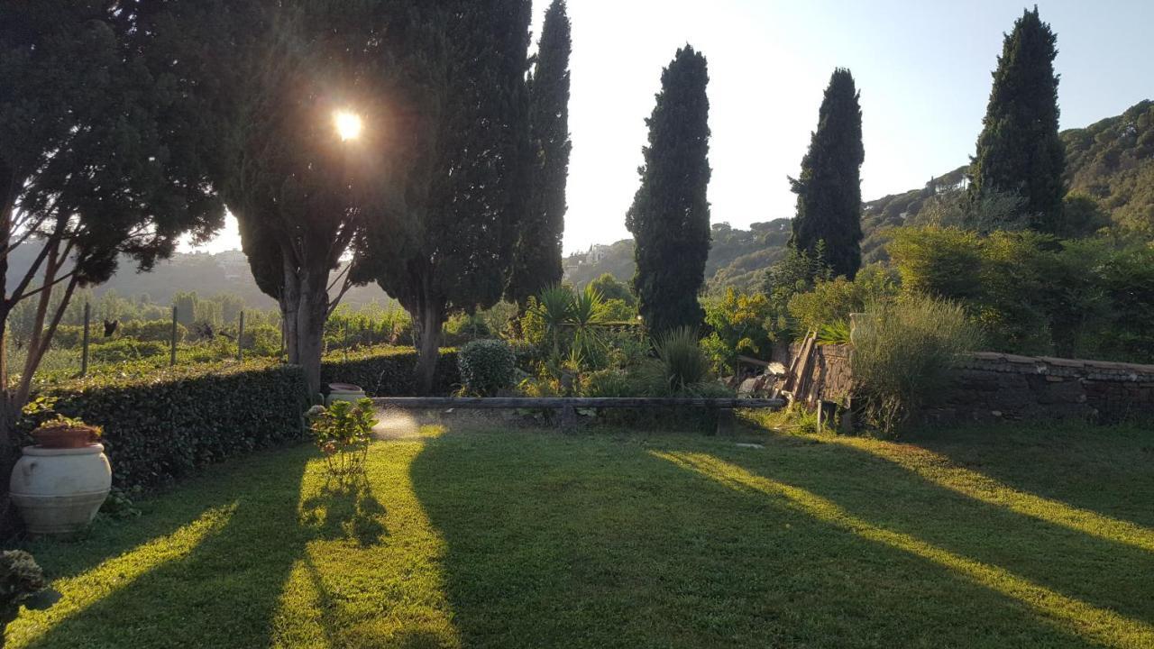Il Nido Del Falco กัสเตลกันดอลโฟ ภายนอก รูปภาพ